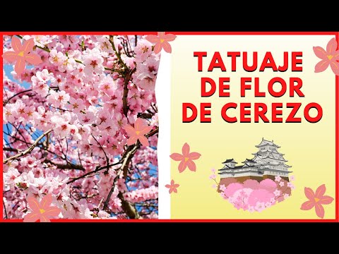 Significado del tatuaje de sakura