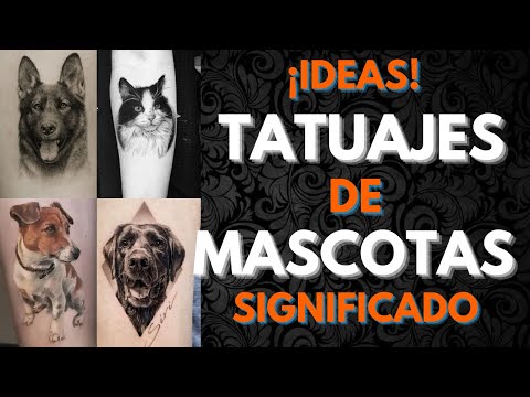 Significado de los tatuajes de huellas de gato