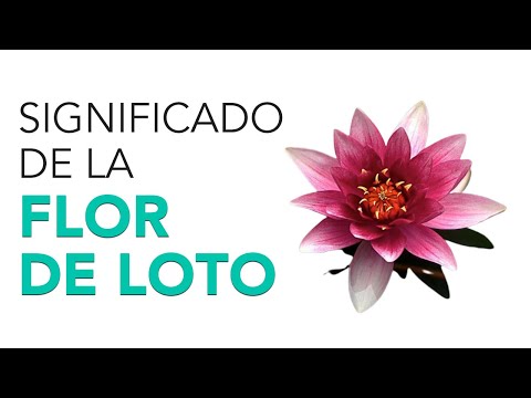 Significado del tatuaje de flor de loto negra