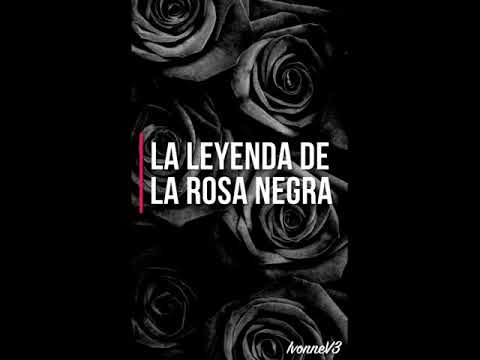 Significado del tatuaje de rosa negra